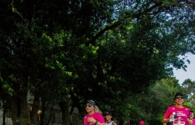 Desafio Nuts 2024